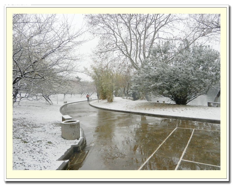 DSCN7796.jpg