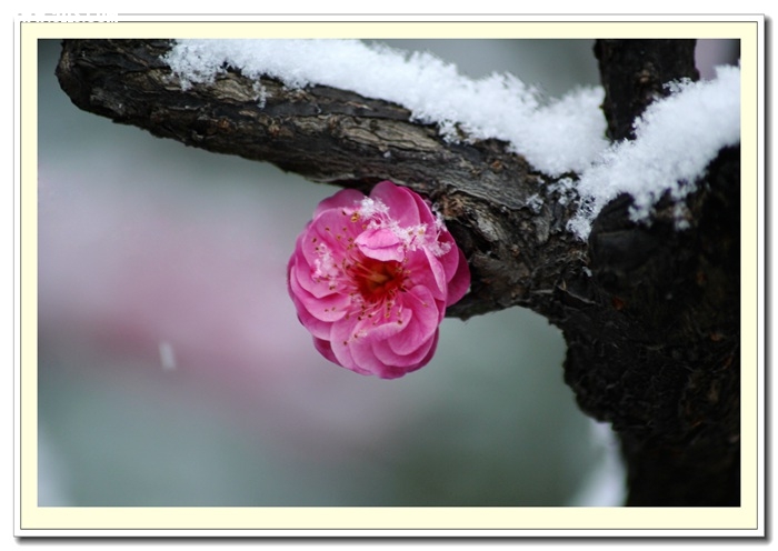 IMG_6755.jpg