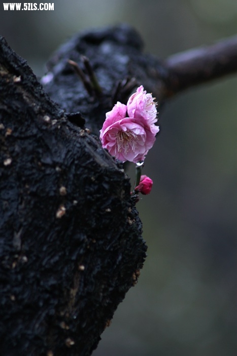 IMG_7231.jpg