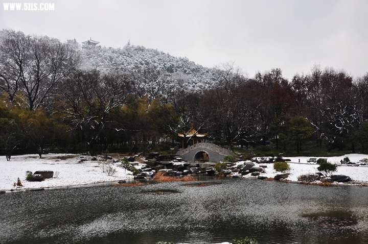 DSC_0427.jpg