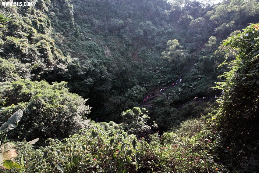 2014_02_04_3919.jpg