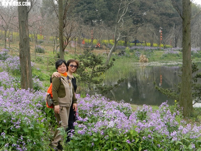 DSCN8016.jpg