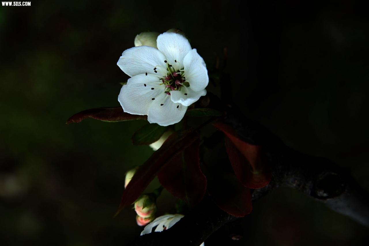 IMG_9648.jpg