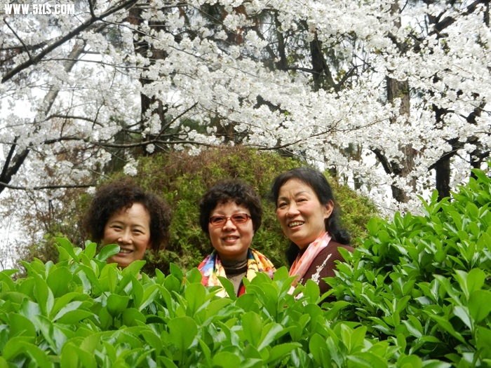 DSCN8051.jpg