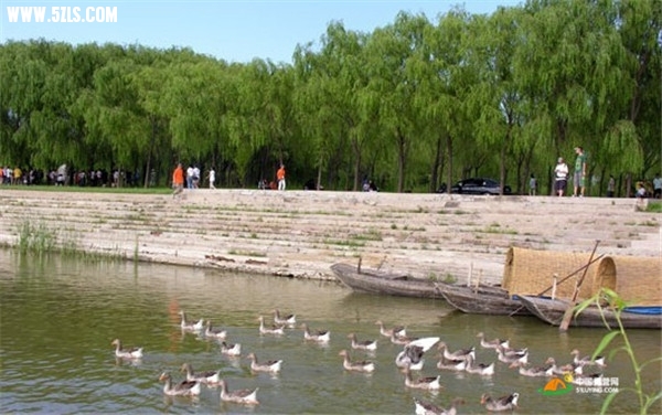 5281a00062268_large.jpg