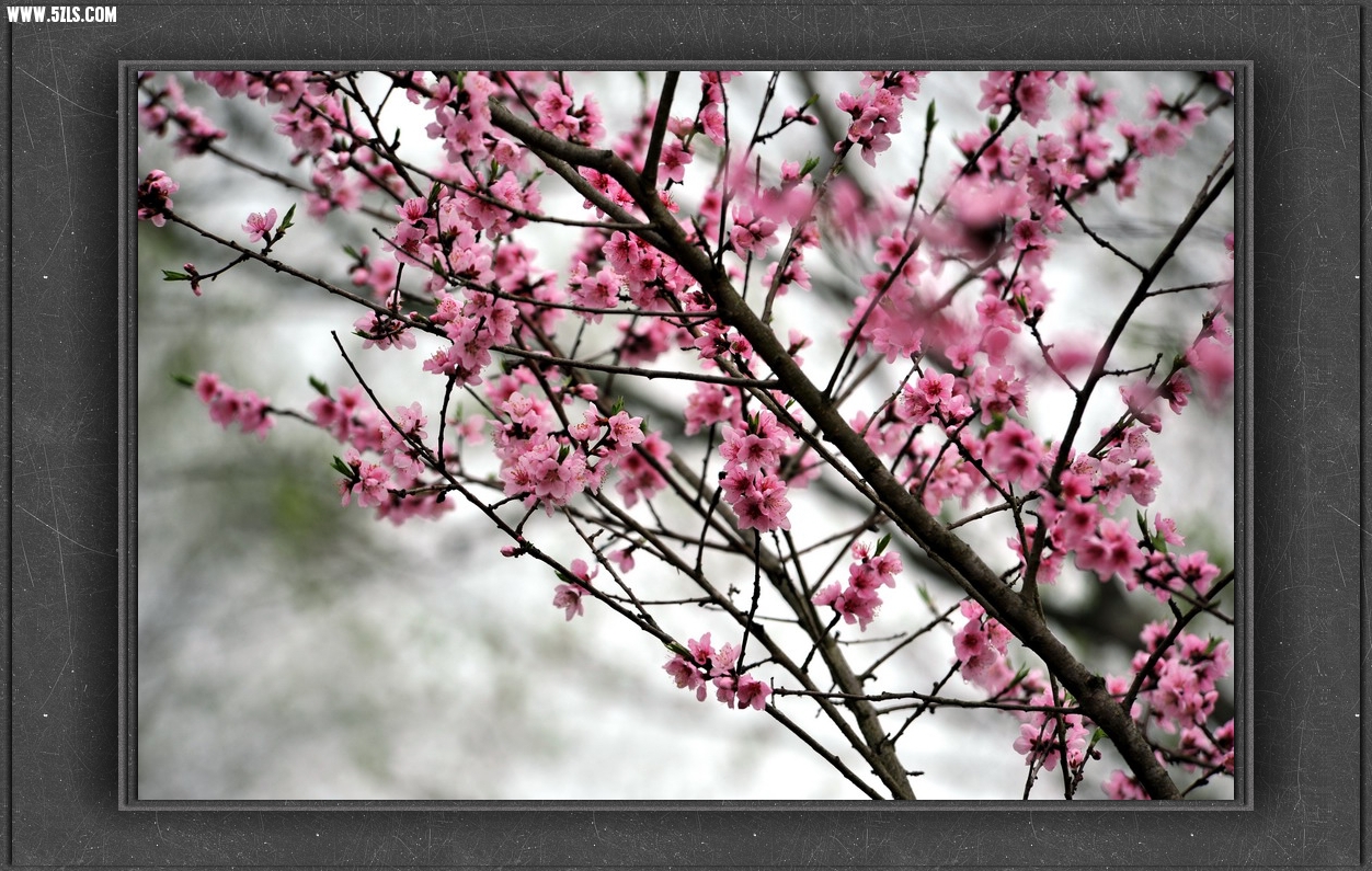 031_����.jpg