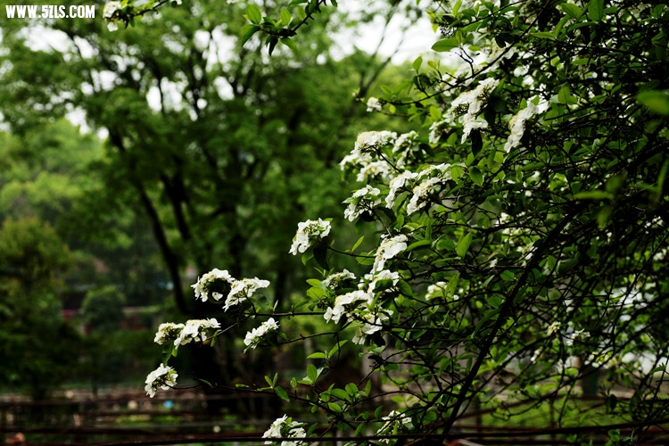 IMG_9830_����.jpg