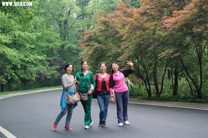 IMG_1748.jpg