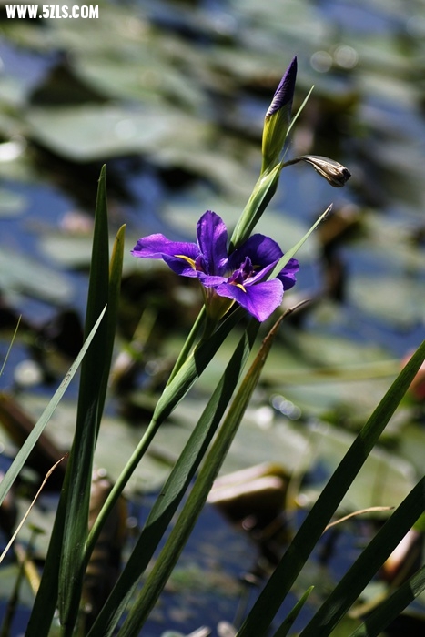 _MG_2987.jpg