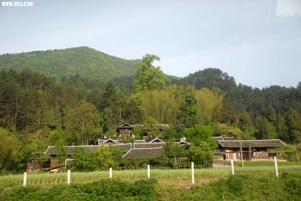 91.jpg