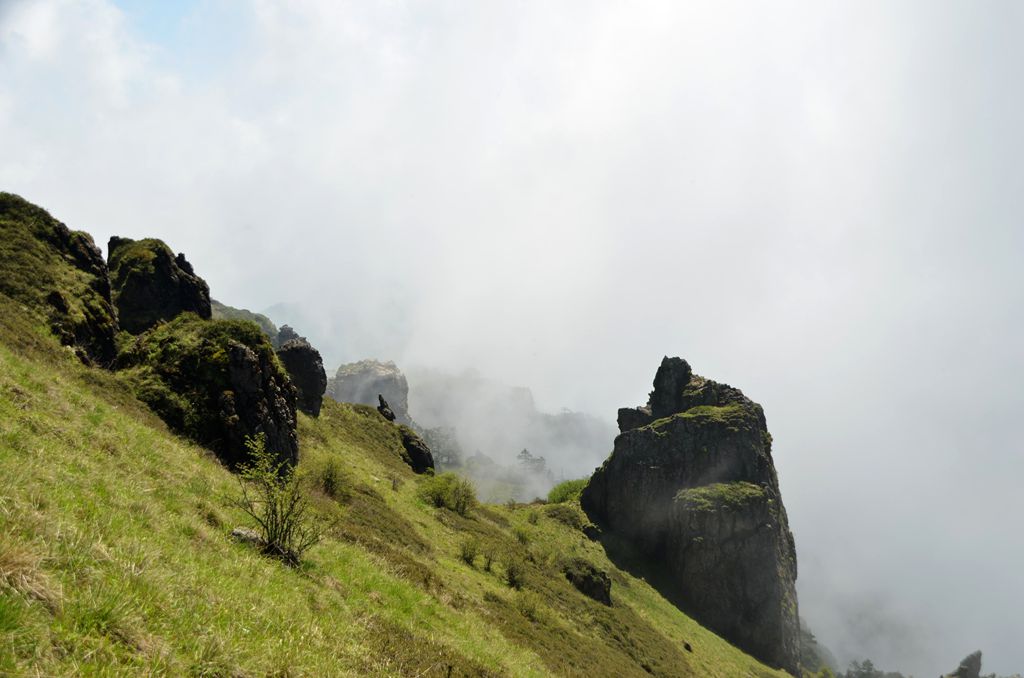 DSC_6967.jpg