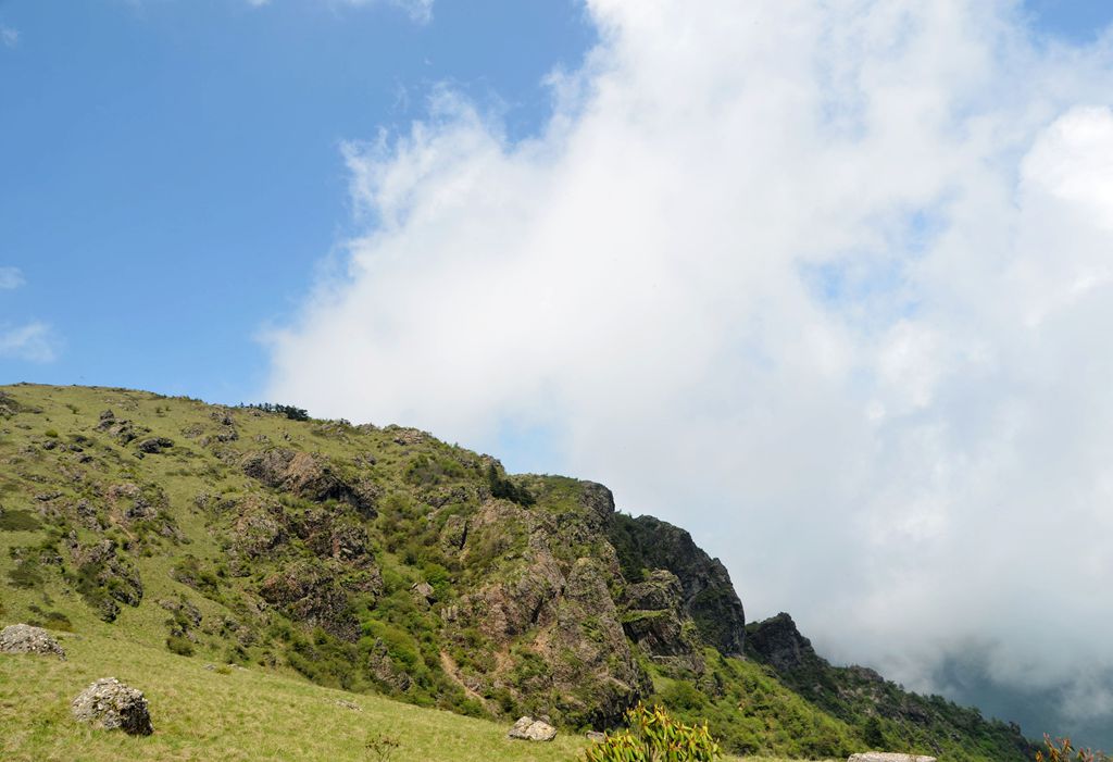 DSC_7173.jpg