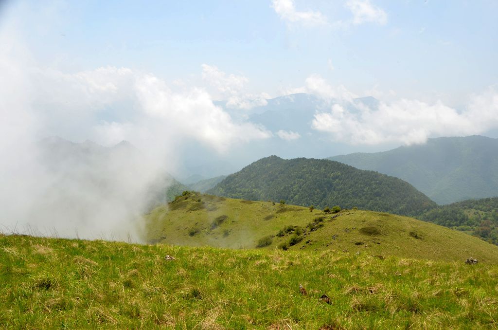 DSC_7188.jpg
