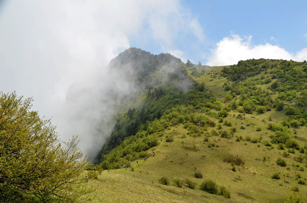 DSC_7243-1.jpg