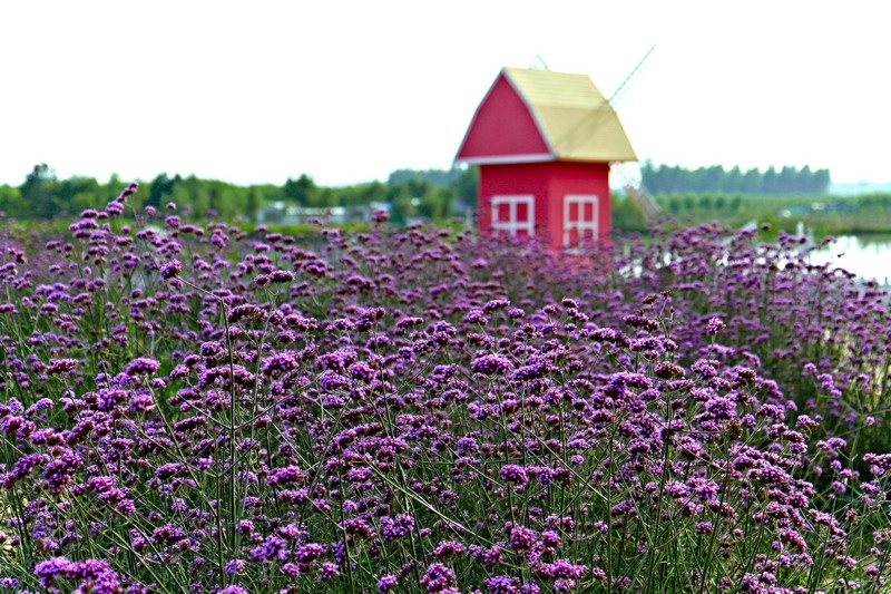 _MG_60831001.jpg