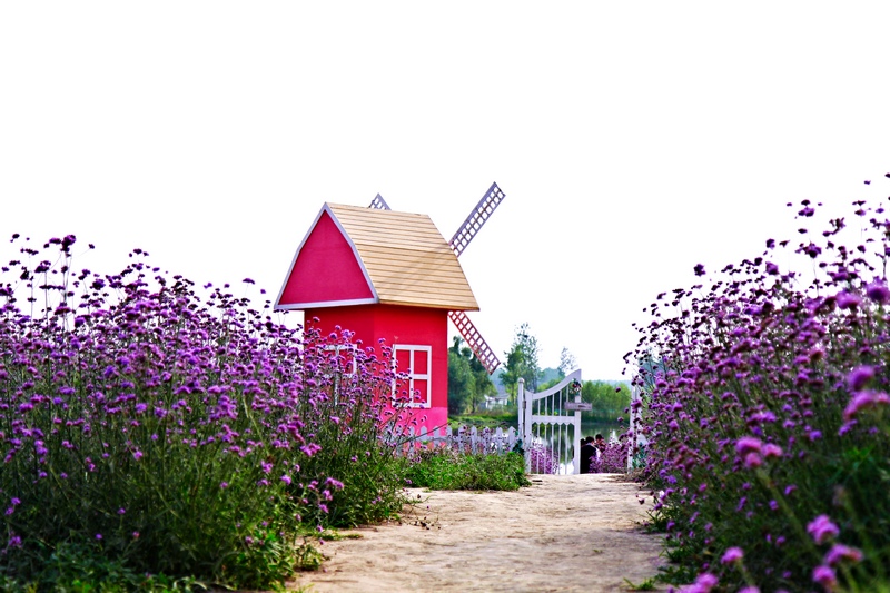 _MG_60841001.jpg