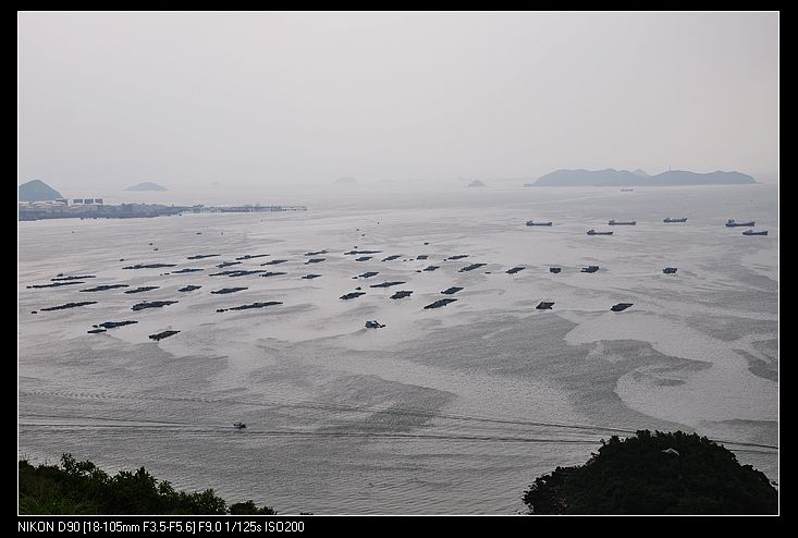 DSC_0130.jpg