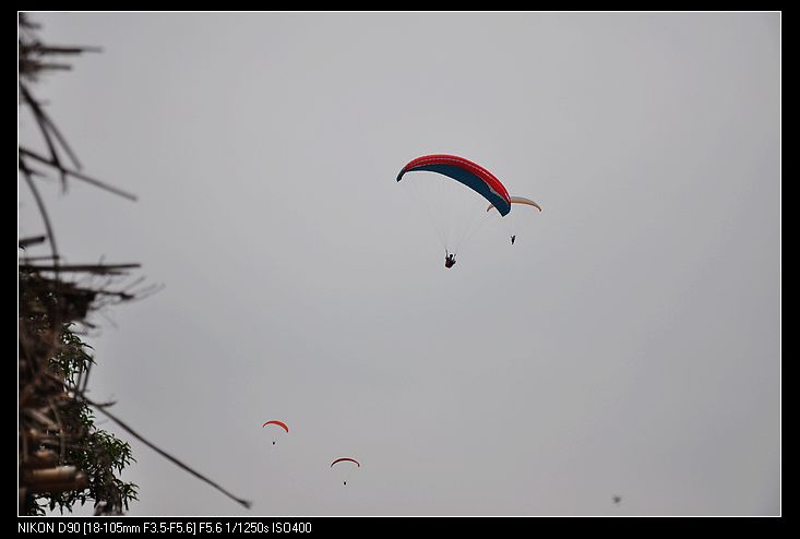 DSC_0228.jpg