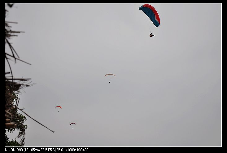 DSC_0229.jpg