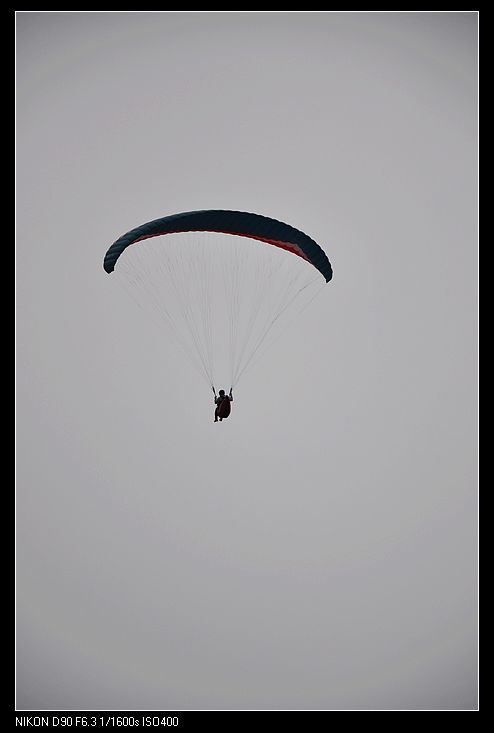 DSC_0231.jpg