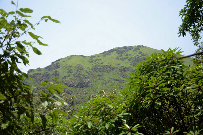 DSC_2875.JPG