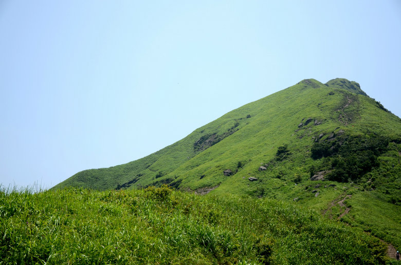 DSC_2890.JPG