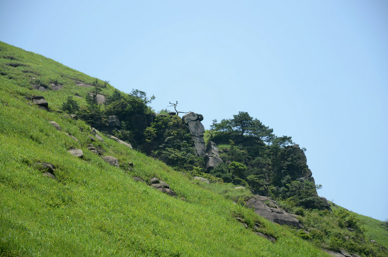 DSC_2921.JPG