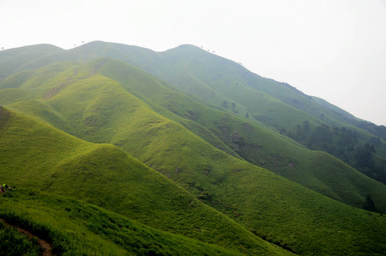 DSC_3068.JPG