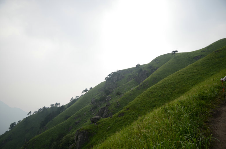 DSC_3072.JPG