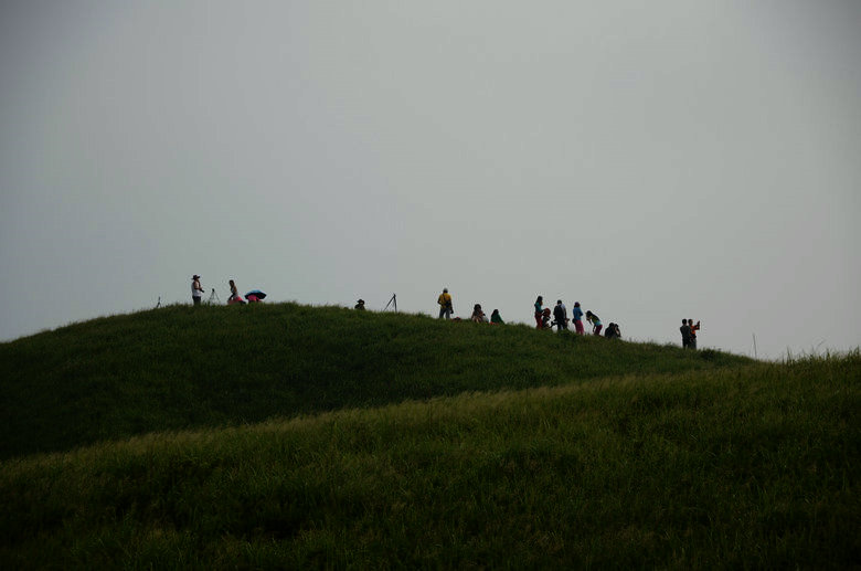 DSC_3132.JPG