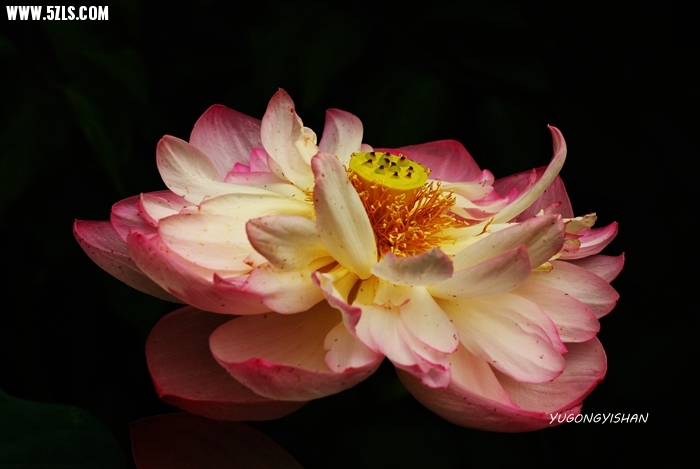 DSC_0765.JPG