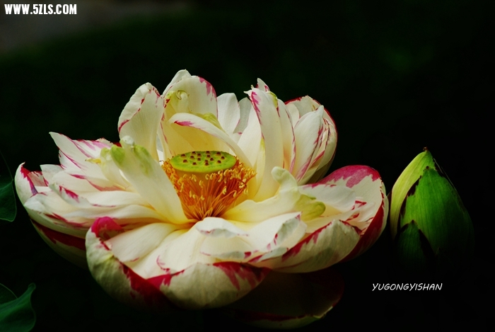 DSC_9495.JPG