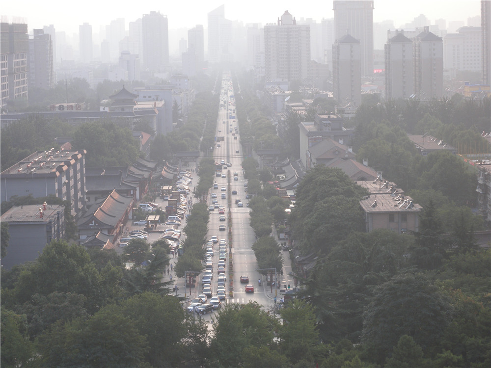 DSCN6118.jpg