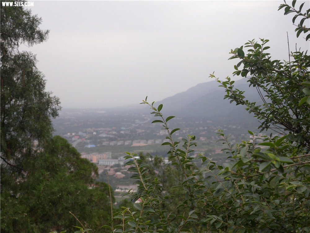 DSCN6296.jpg