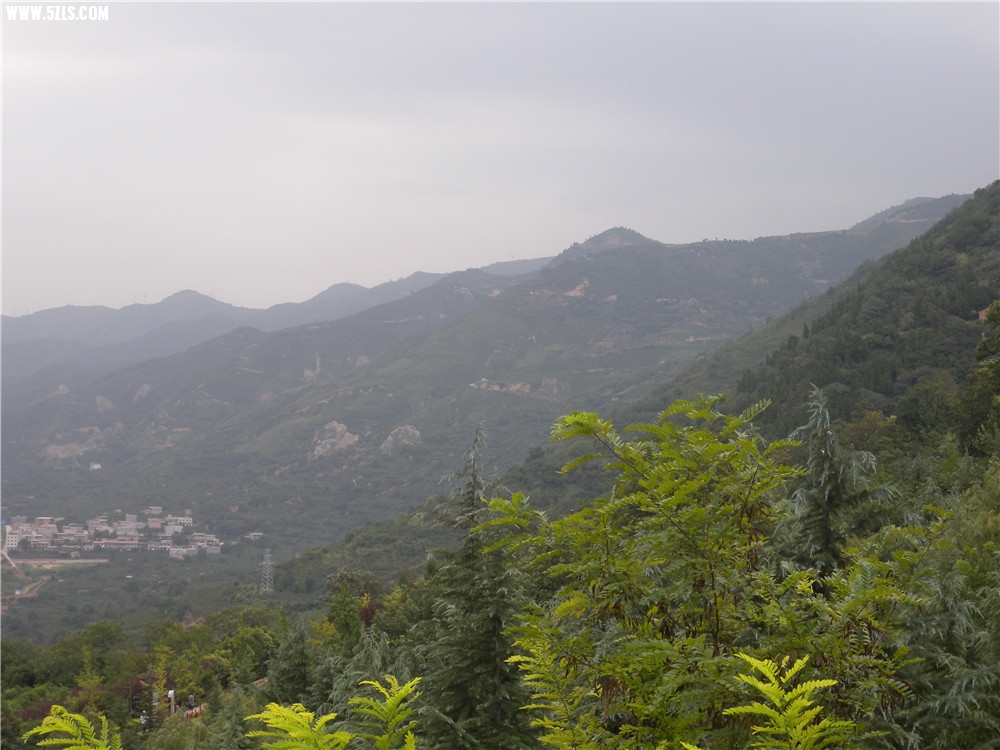 DSCN6297.jpg