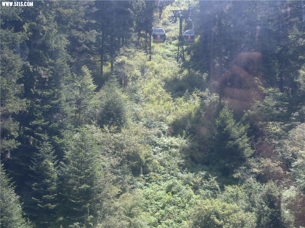 DSCN6635.jpg