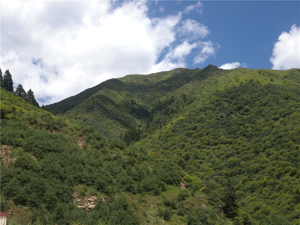 DSCN6633.jpg