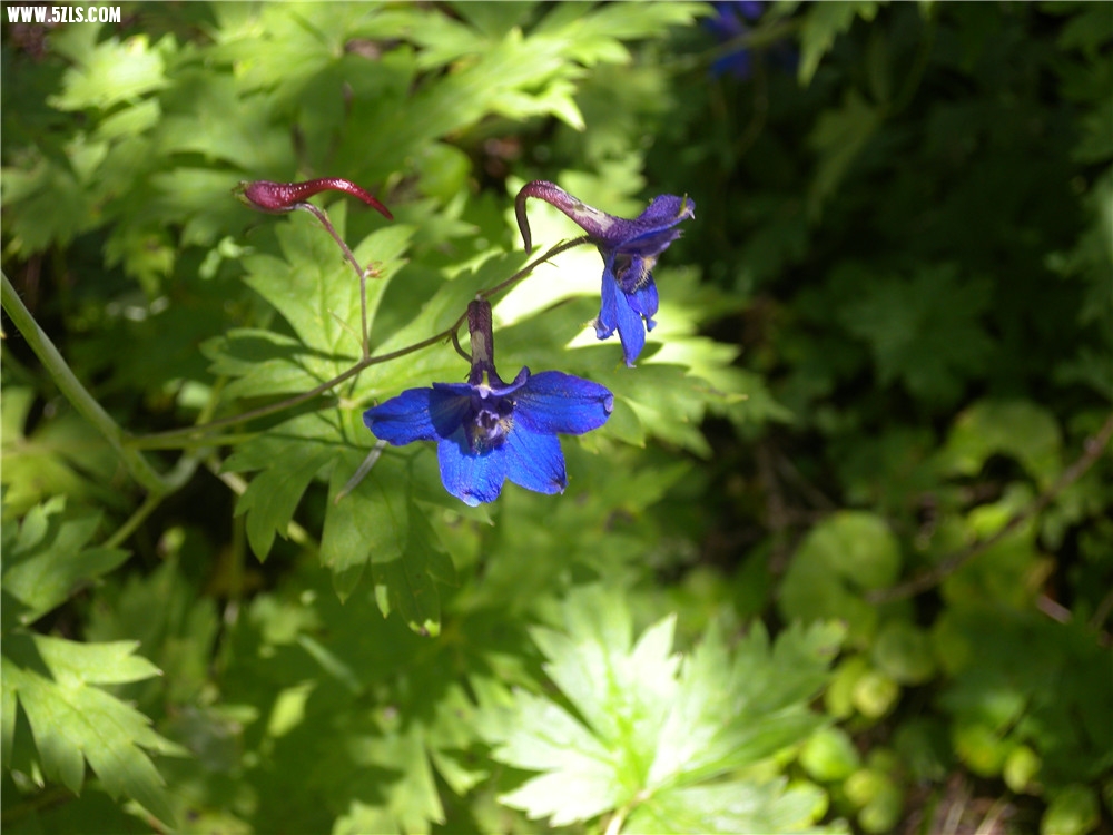 DSCN6642.jpg