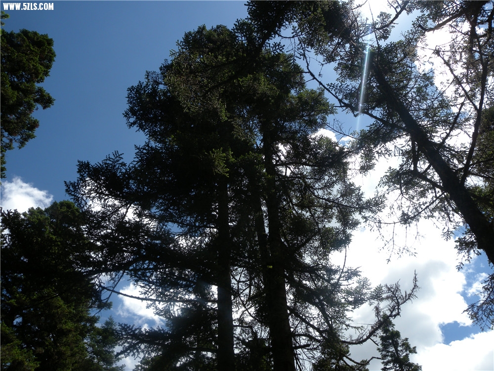 DSCN6643.jpg