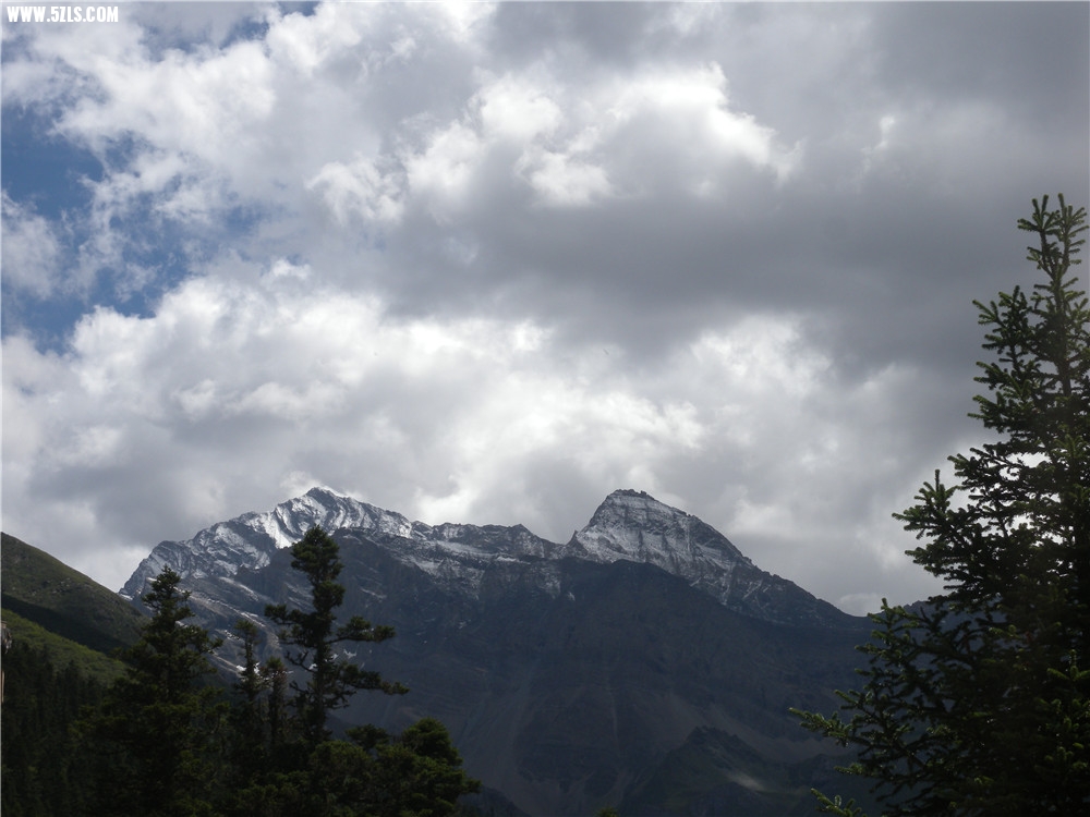 DSCN6653.jpg