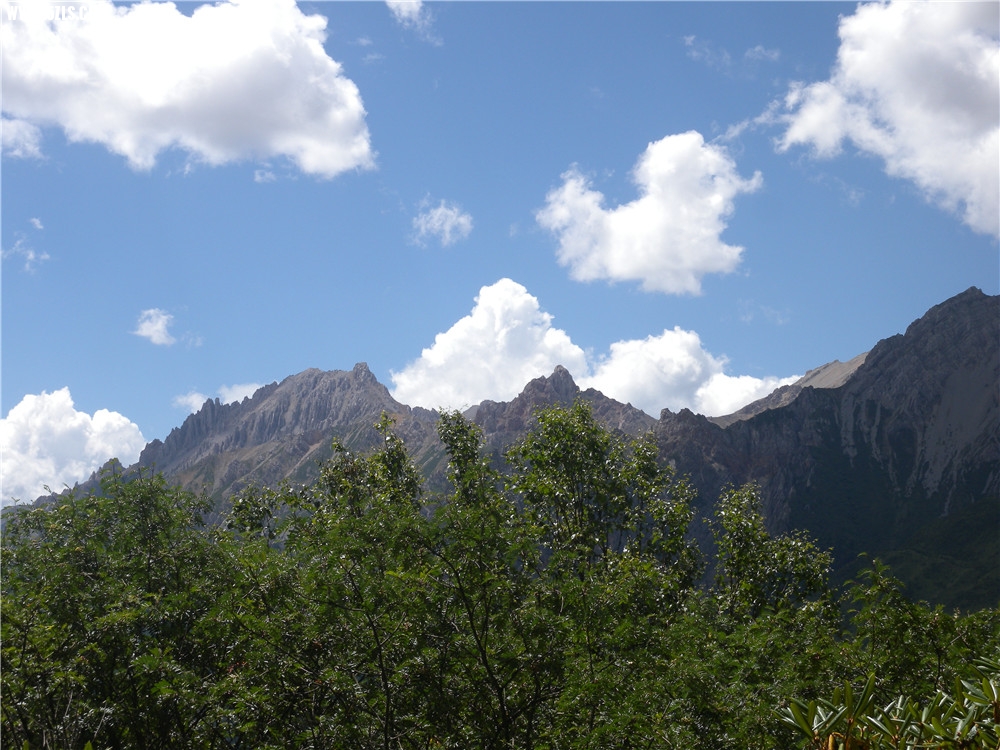 DSCN6666.jpg