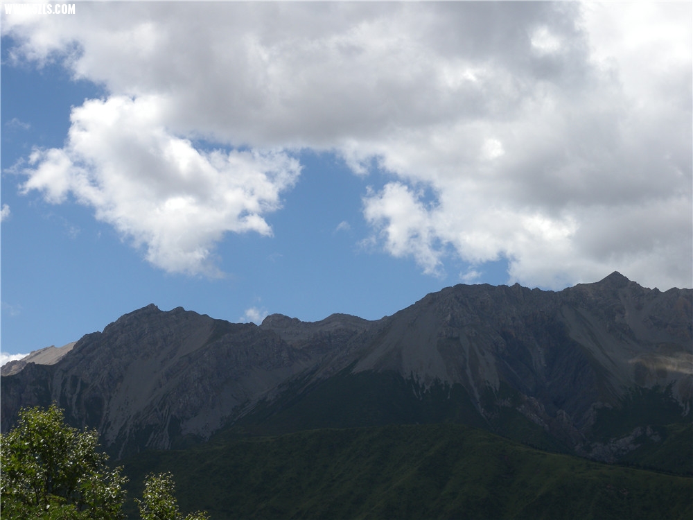 DSCN6667.jpg