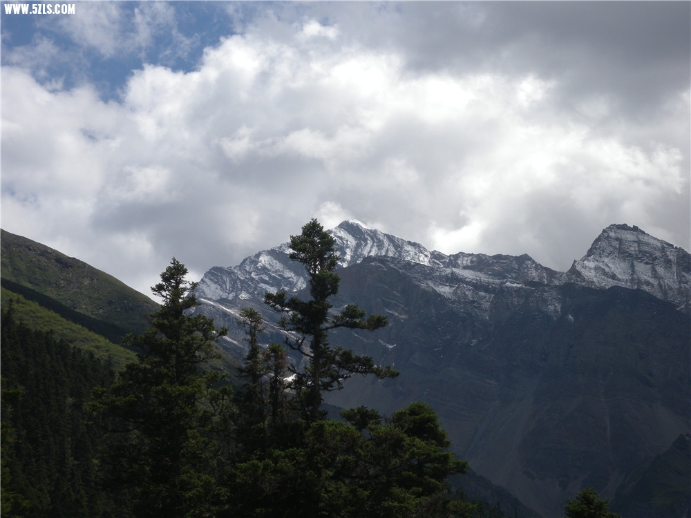 DSCN6654.jpg