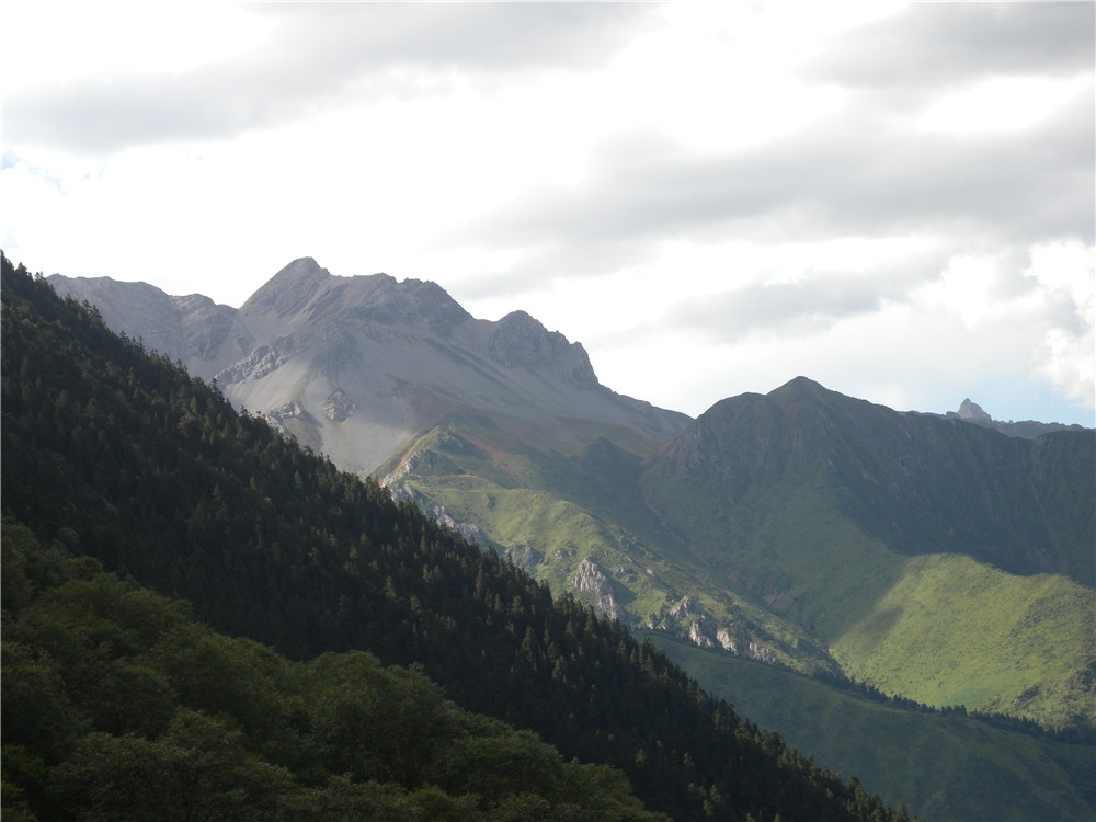DSCN6724.jpg
