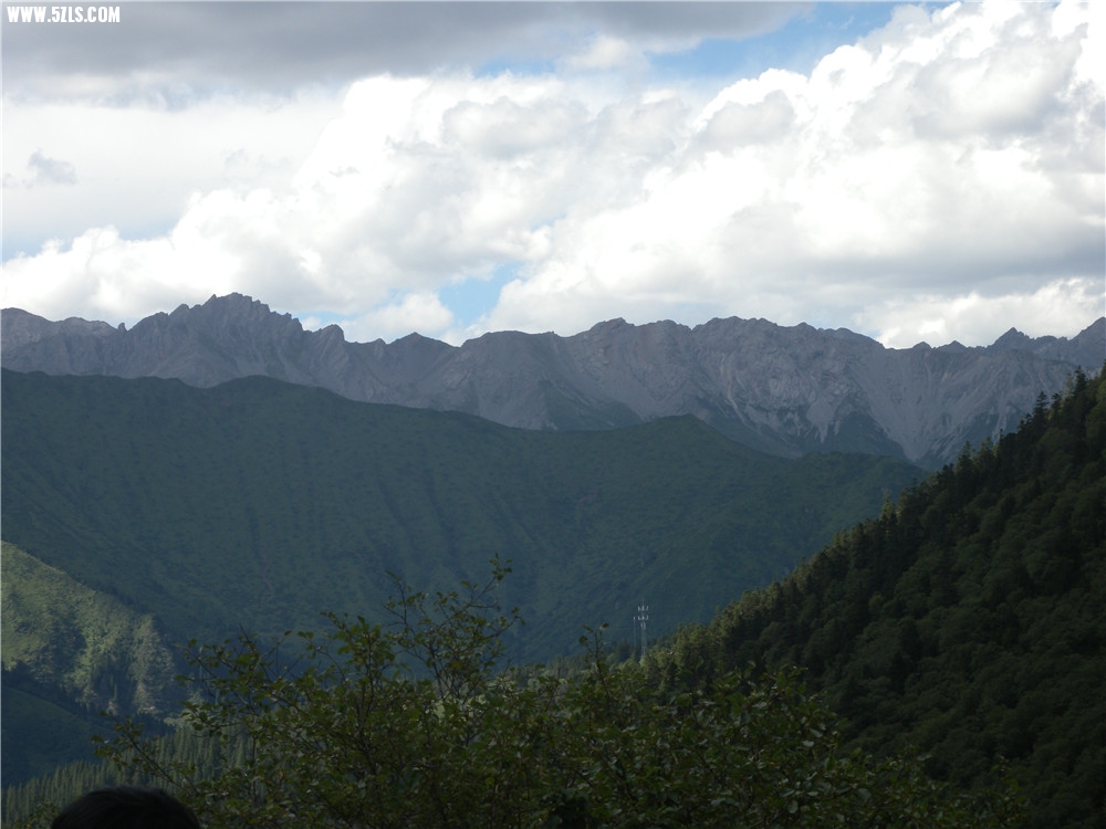 DSCN6725.jpg