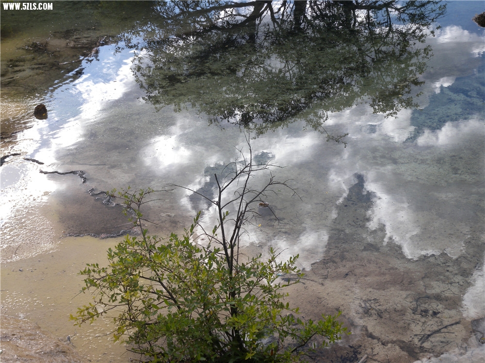 DSCN6789.jpg