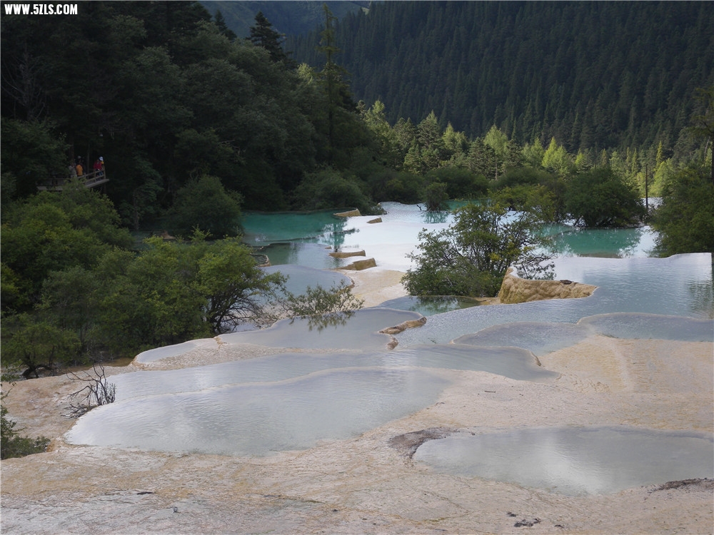 DSCN6762.jpg