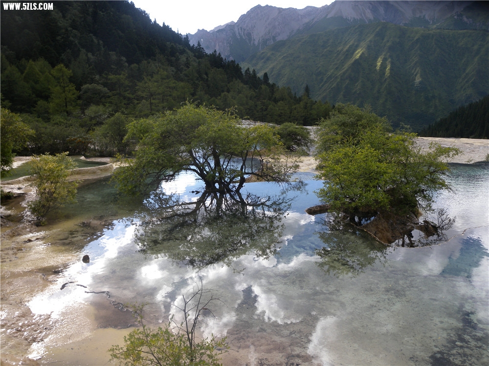 DSCN6788.jpg