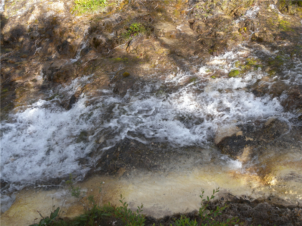 DSCN6779.jpg