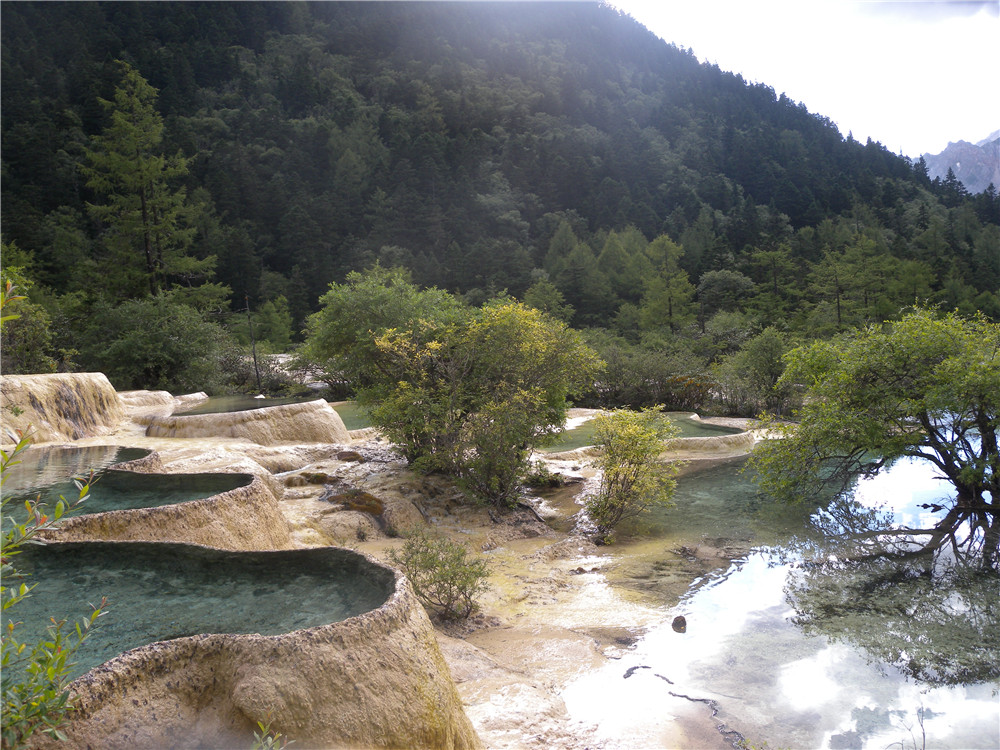 DSCN6790.jpg